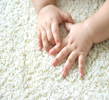 New Clean Carpet & Flooring For the Family – Wicall’s Carpets & Flooring