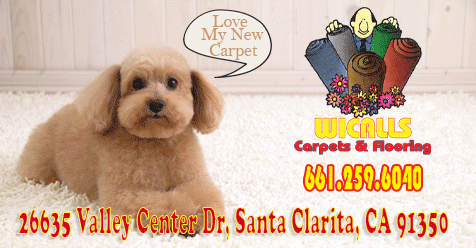 Love Your New Carpet and Flooring from Wicall’s Carpets & Flooring