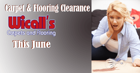 Carpet Worse For the Ware? Call Wicall’s