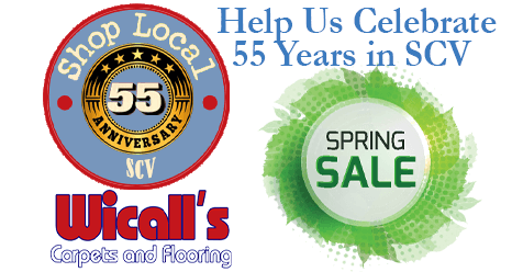 Help Us Celebrate 55 Years in SCV