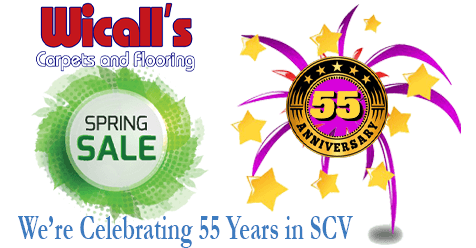 We’re Celebrating 55 Years in SCV